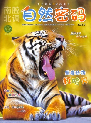 自然密码杂志订阅